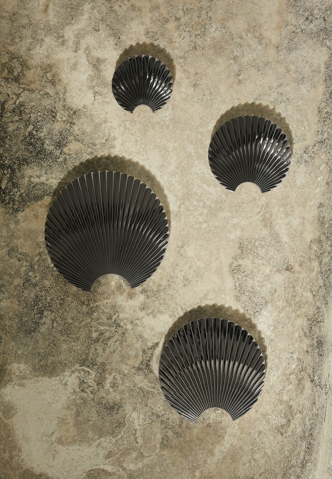 CONCHA hook/wall decoration CONCHA hook/wall decoration